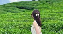 3-Day Nanchang & Jingdezhen Private Tour: Porcelain Capital