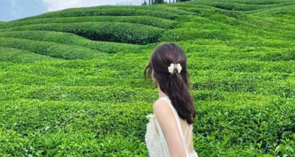 3-Day Nanchang & Jingdezhen Private Tour: Porcelain Capital
