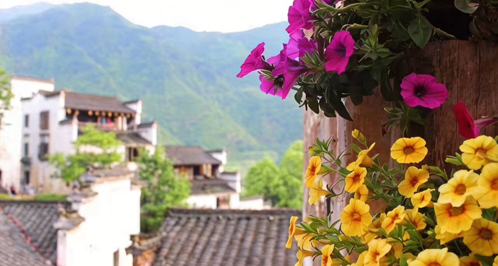 3-Day Wangxian Valley, Sanqingshan & Wuyuan Small-Group Tour