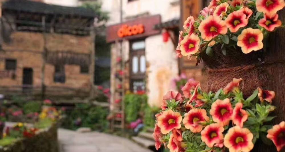 3-Day Wangxian Valley, Sanqingshan & Wuyuan Small-Group Tour