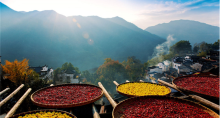 3-Day Wangxian Valley, Sanqingshan & Wuyuan Small-Group Tour