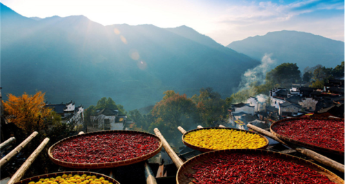 3-Day Wangxian Valley, Sanqingshan & Wuyuan Small-Group Tour