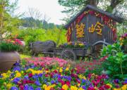 Jiangxi Nanchang + Lushan Scenic Area + Jingdezhen + Wuyuan + Sanqingshan: 6-Day, 5-Night Group Tour · No Shopping + Gold-Level English-Speaking Guide · 1 Night on Lushan · Coach with First-Class-Style Seats for Groups of at Least 15 · Three-Stone Banquet and Hui-Style Banquet · Complimentary Station or Airport Transfers Jiangxi Nanchang + Lushan Scenic Area + Jingdezhen + Wuyuan + Sanqingshan: 6-Day, 5-Night Group Tour · No Shopping + Gold-Level English-Speaking Guide · 1 Night on Lushan · Coach with First-Class-Style Seats for Groups of at Least 15 · Three-Stone Banquet and Hui-Style Banquet · Complimentary Station or Airport Transfers