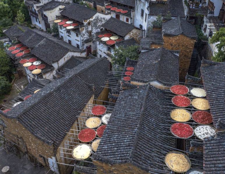 Five Years of the Gold-Standard System: Looking Back at Guide Pay Reform at a Jingdezhen Travel Agency