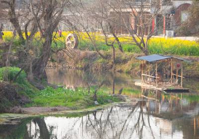 New Guide Training at a Sanqingshan Travel Agency: 14 Days of Intensive Training + 3 Months of Shadowing